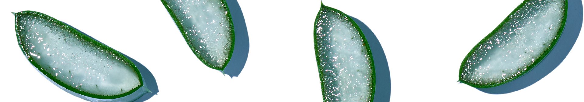 Otkrijte iznimne hidratizirajuće blagodati svih oblika aloe vere u njezi kože