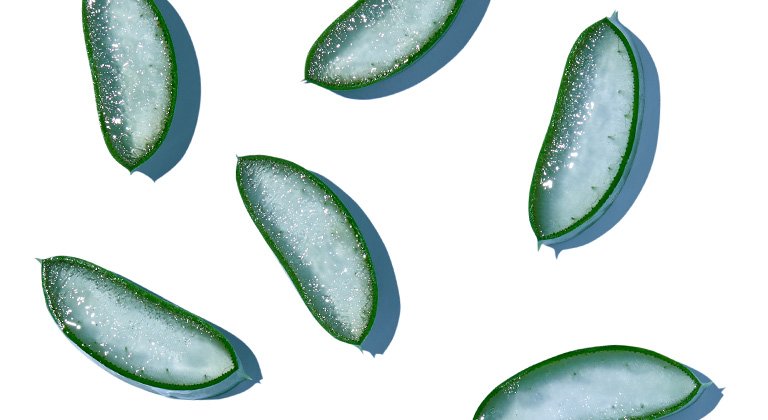 Otkrijte iznimne hidratizirajuće blagodati svih oblika aloe vere u njezi kože