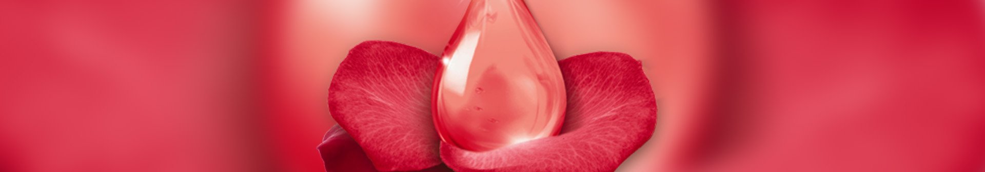 Četiri savjeta za održavanje ljepote kose o tome kako da pretvorite oštećenu kosu u kosu zdravog izgleda