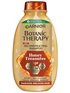 Botanic Therapy Honey Treasures Šampon