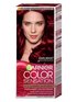 Garnier Color Sensation 4.60
